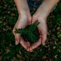 Sustainable Event Planning: Going Green Without Compromise